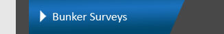Master Marine Survey Bunker Surveys