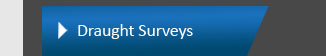 Master Marine Survey Draught Surveys