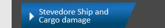 Master Marine Survey Stevedore Ship and Cargo Damage