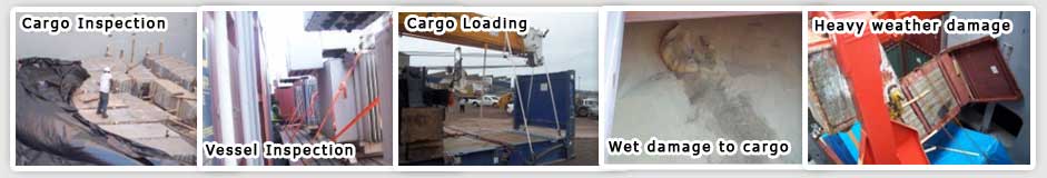 OFF hire condition surveys